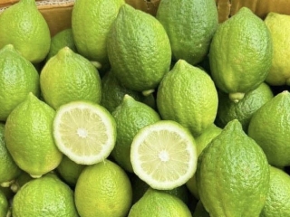 Chanh quảng đông mua ở đâu tphcm