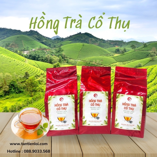 Hồng Trà Cổ Thụ 